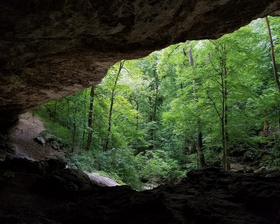 Buffalo River Cobb Cave